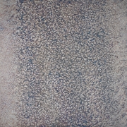 Silver Patina